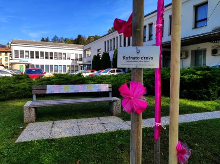 V rožnatem oktobru rožnato drevo  (6)